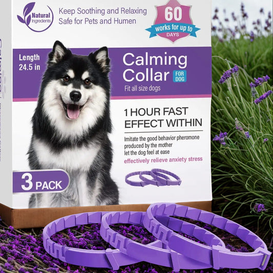 Collier apaisant aux phéromones - Réduit stress et l'anxiété du chien