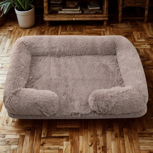 Soulager ses articulations /Panier orthopédique pour chien