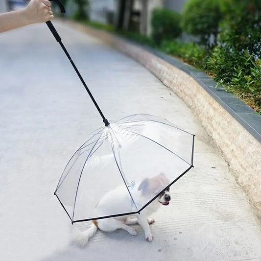 Parapluie pour chien transparent- Promenade au sec par tous les temps.