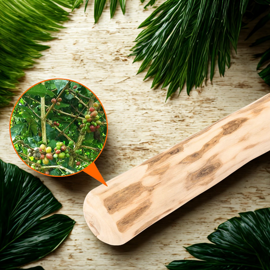 Bois naturel de café à mâcher- Santé dentaire du chien& anti-stress